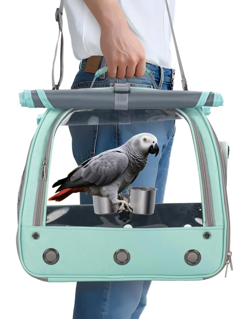 African Grey parrot delivery UK